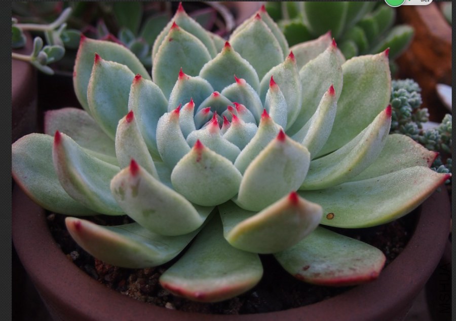 QQͼƬ20141023101353.jpg