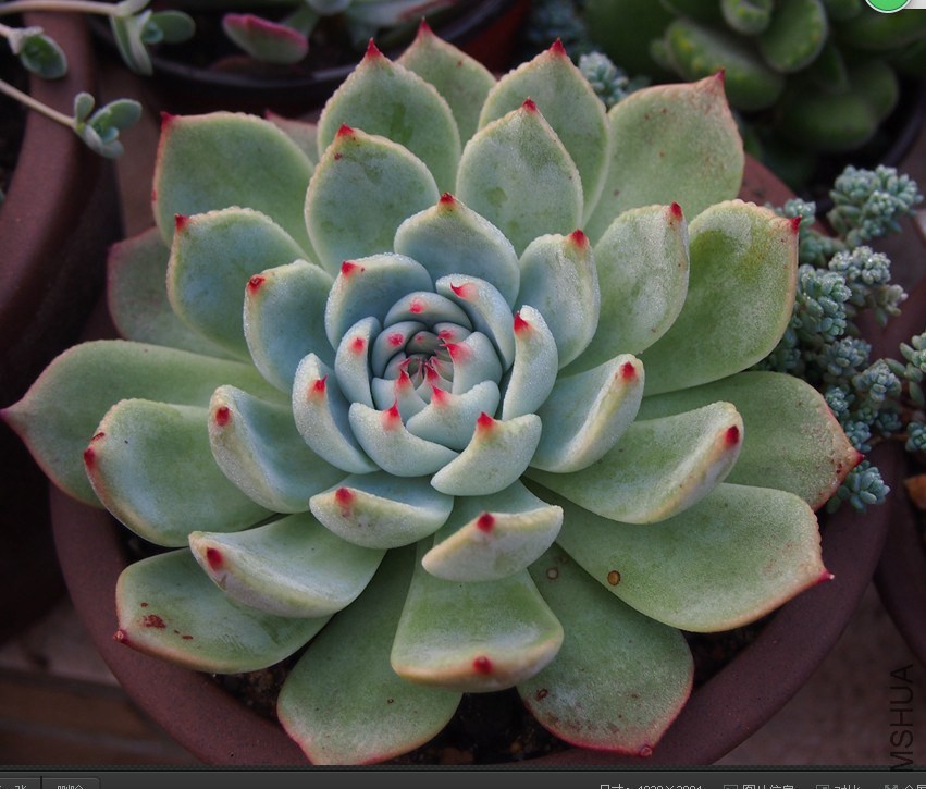 QQͼƬ20141023101357.jpg