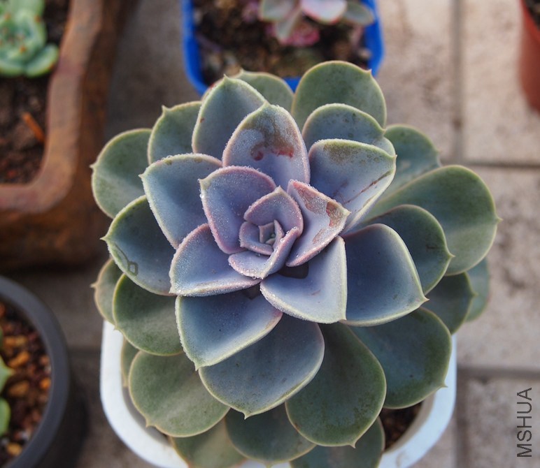 QQͼƬ20141023101401.jpg