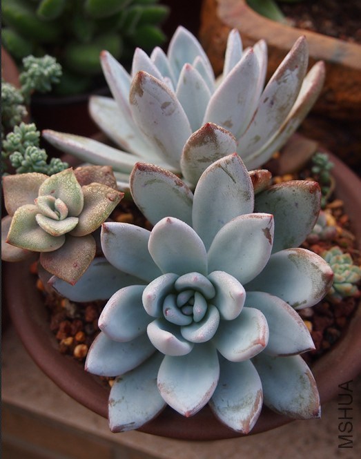 QQͼƬ20141023101409.jpg