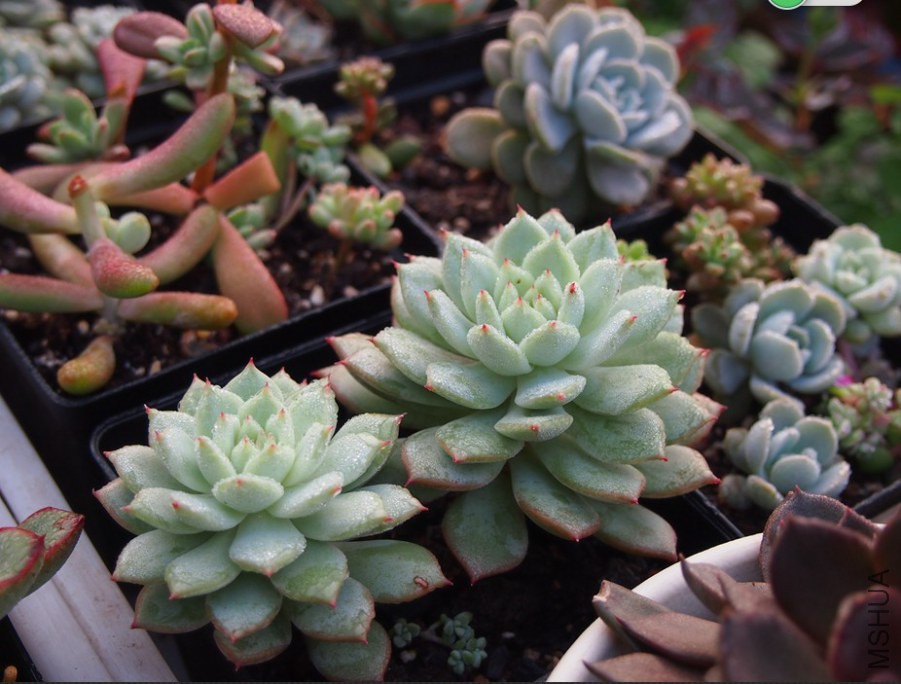 QQͼƬ20141023101416.jpg