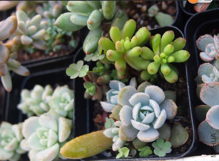 QQͼƬ20141023101441.jpg