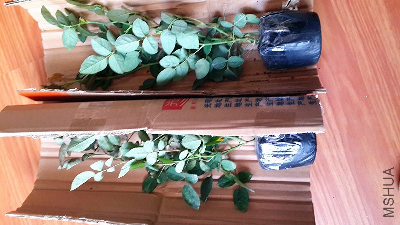 20141023_101404.jpg