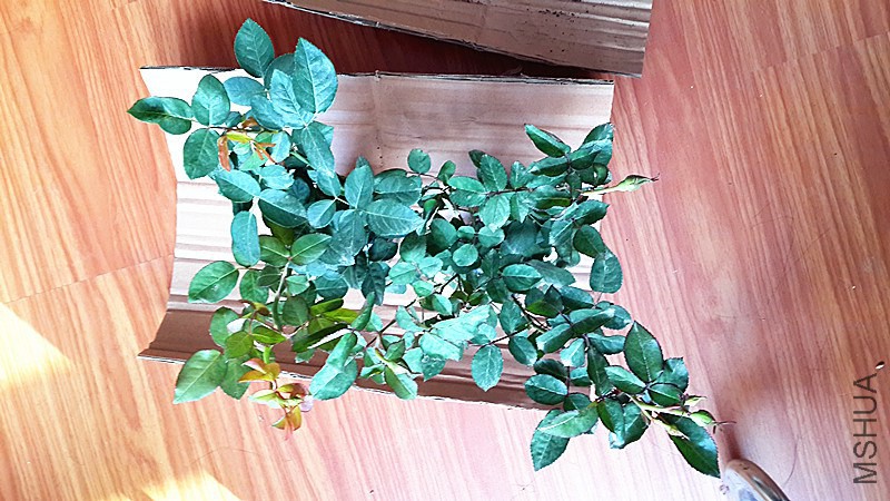 20141023_101649.jpg