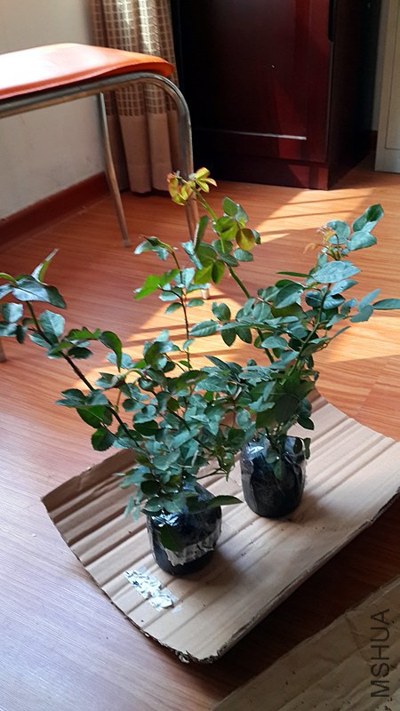 20141023_101738.jpg