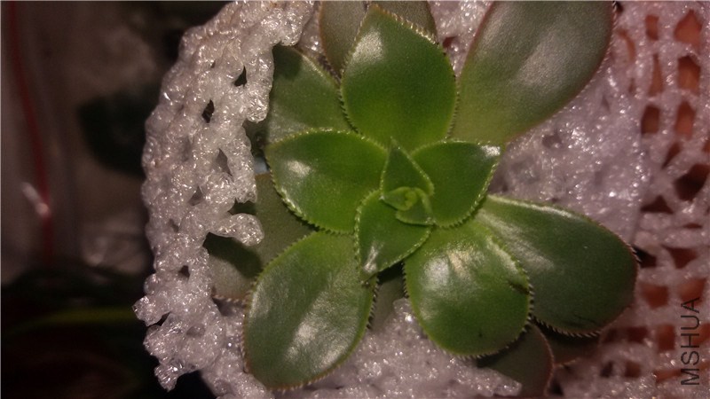 20141022_200519.jpg
