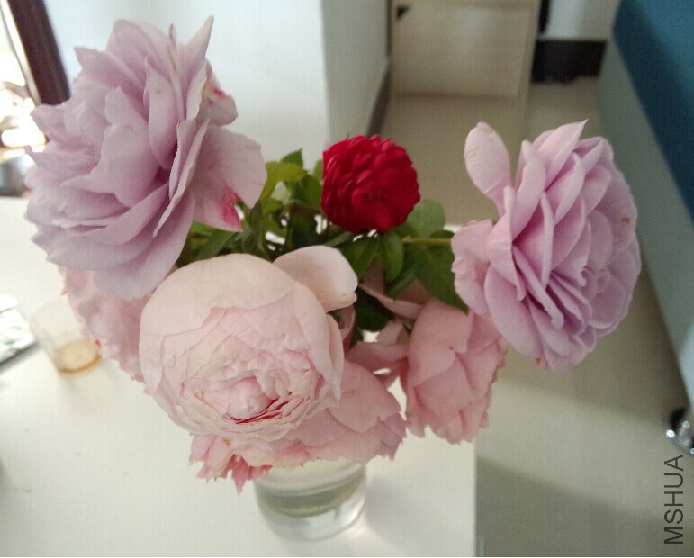 QQͼƬ20141023095936.jpg