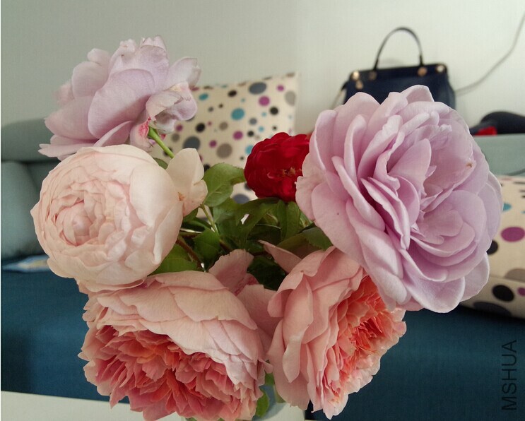QQͼƬ20141023100115.jpg