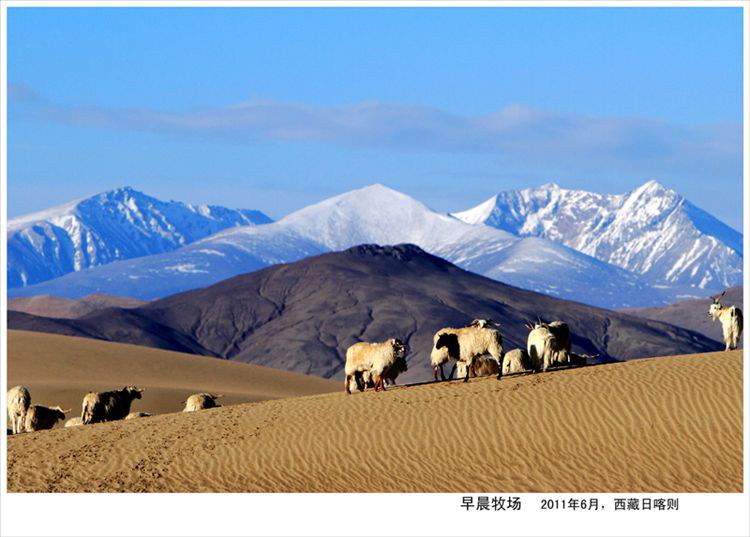 20130305_54423e1d638df50f4022U9eUAA4Ma4Z4 (1).jpg