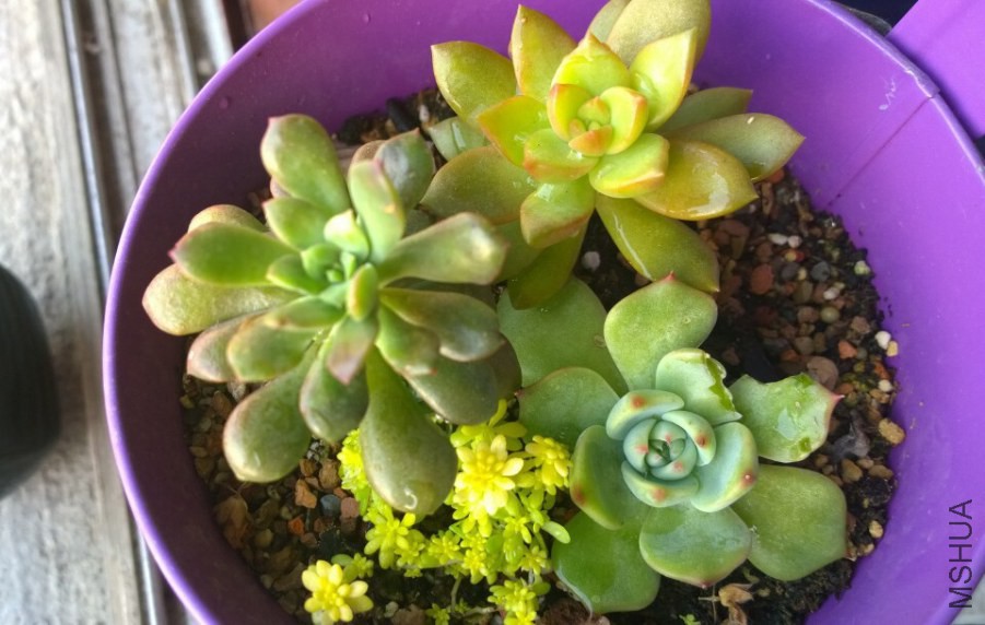 QQͼƬ20141024092322.jpg