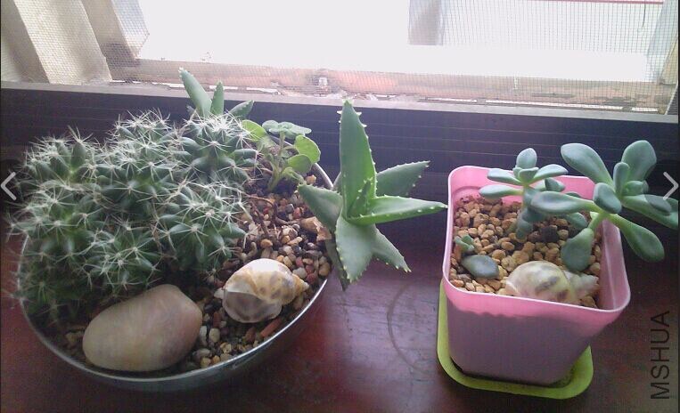 QQͼƬ20141024115409.jpg