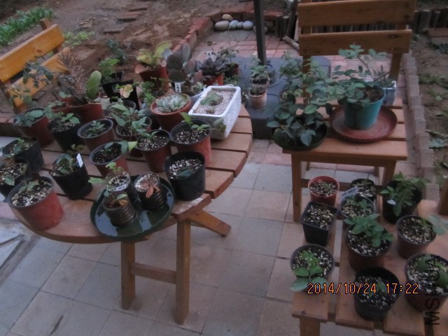 �Ҳ��С�磬���гɾ͸�ѽ��