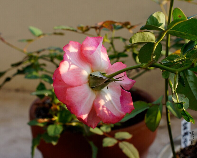 QQͼƬ20141025005346.jpg