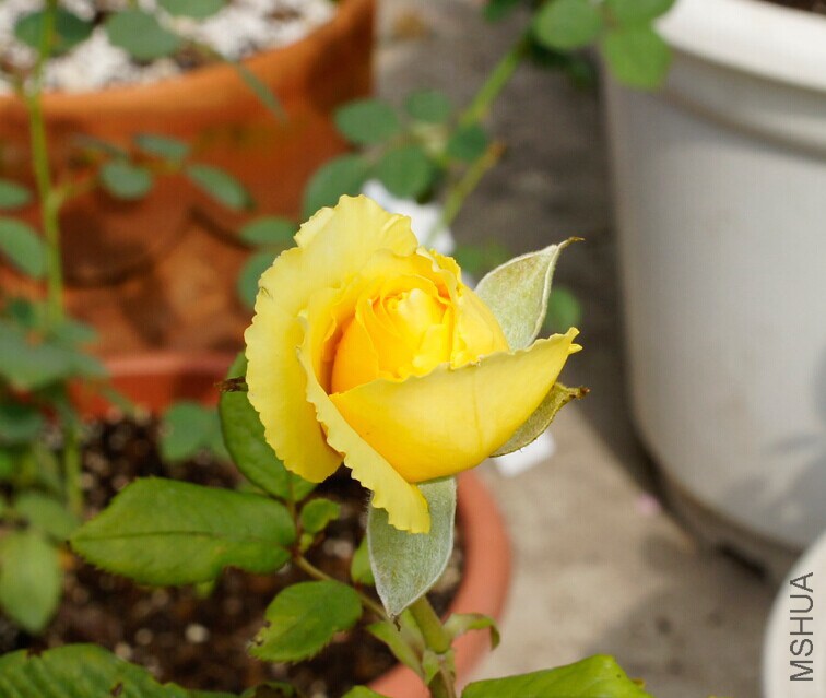 QQͼƬ20141025005925.jpg