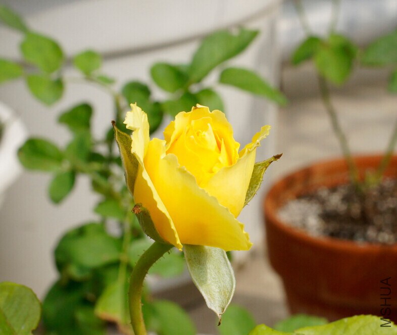 QQͼƬ20141025005940.jpg