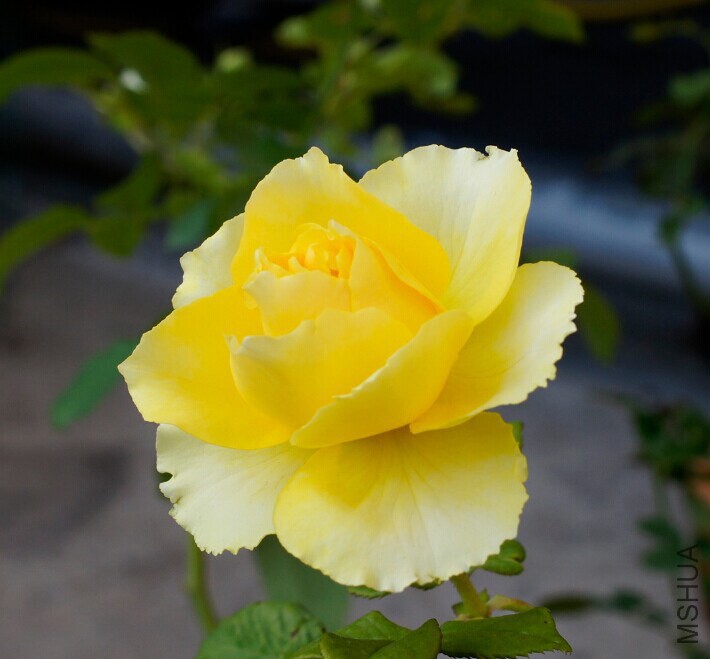 QQͼƬ20141025010040.jpg