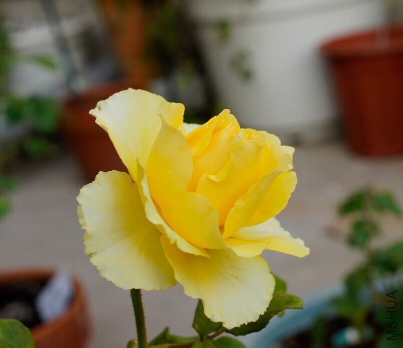 QQͼƬ20141025010102.jpg