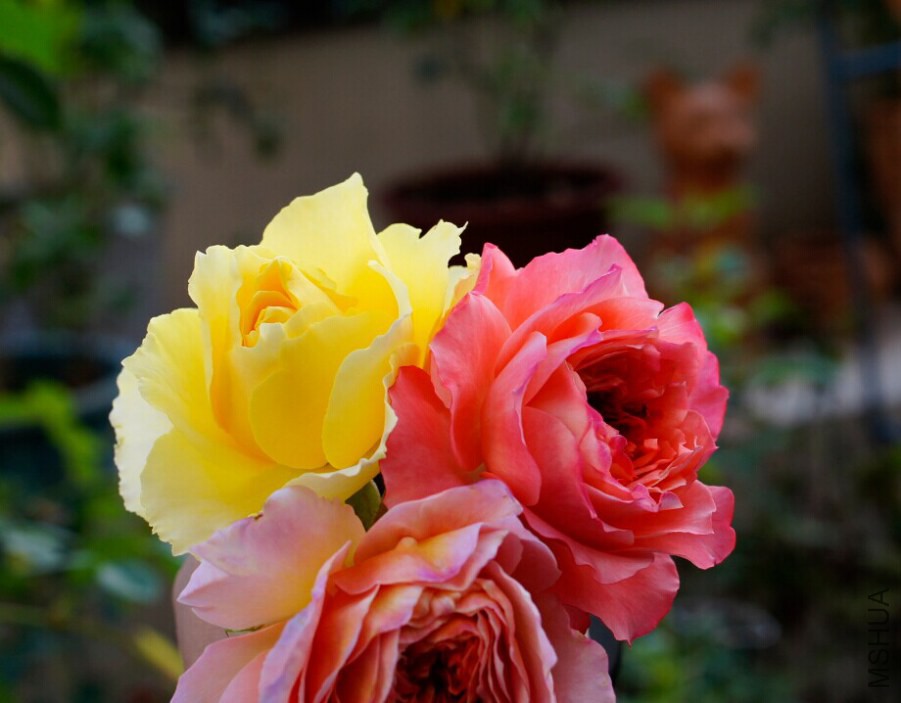 QQͼƬ20141025010709.jpg