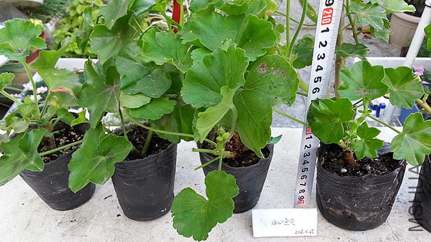 20141025_073614_����.jpg