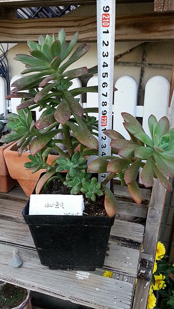 20141025_083219_����.jpg