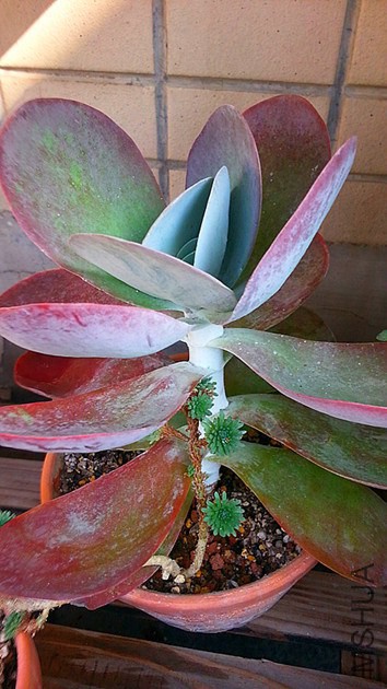 20141024_130910_����.jpg