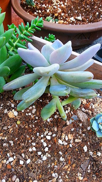 20141025_091656_����.jpg
