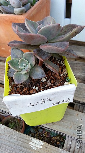 20141025_090736_����.jpg