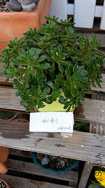20141025_091554_����.jpg