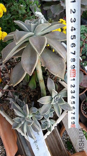 20141025_093943_����.jpg