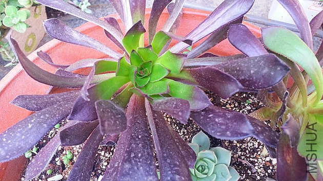 20141024_125926_����.jpg