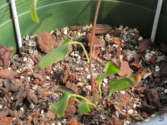 ������ 027.jpg