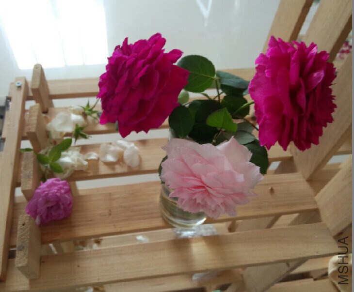 QQͼƬ20141025153147.jpg