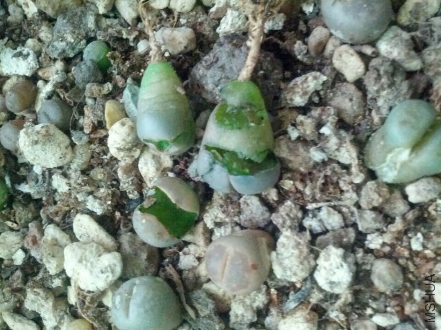 QQͼƬ20141025160401.jpg