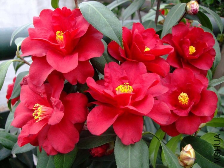 �ʼ������ 2012-4-8f 129.jpg