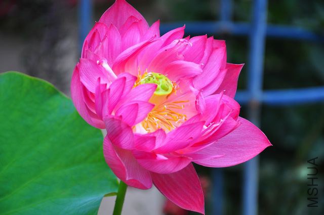 nEO_IMG_DSC_4618.jpg