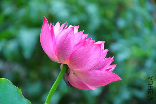 nEO_IMG_DSC_4619.jpg