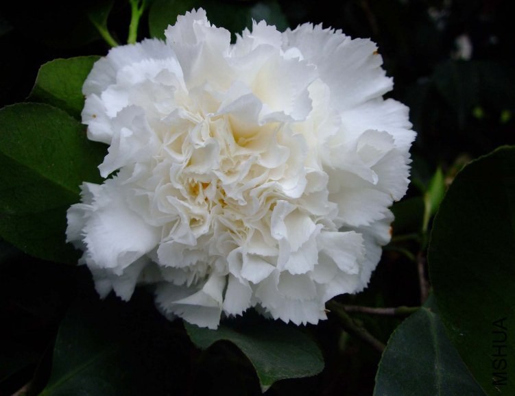 ���� 2012-4-8f 042.jpg