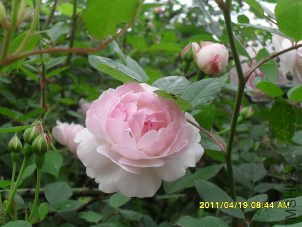 76593_1309075791WKzC.jpg