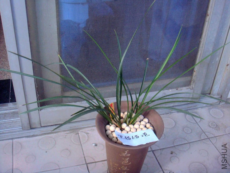 05.JPG