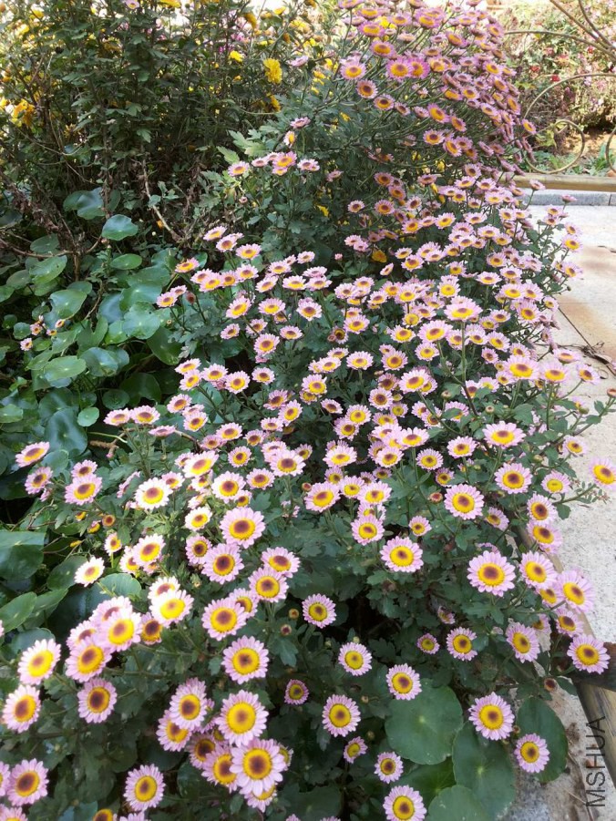 20141026_110744.jpg