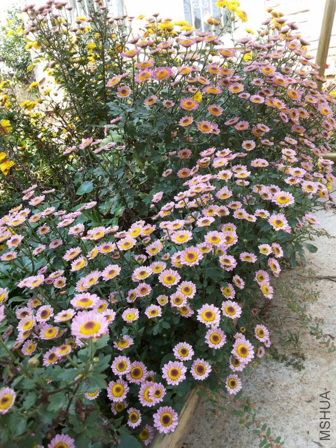 20141026_110754.jpg