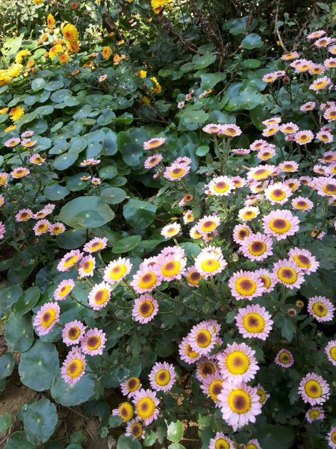 20141026_110759.jpg