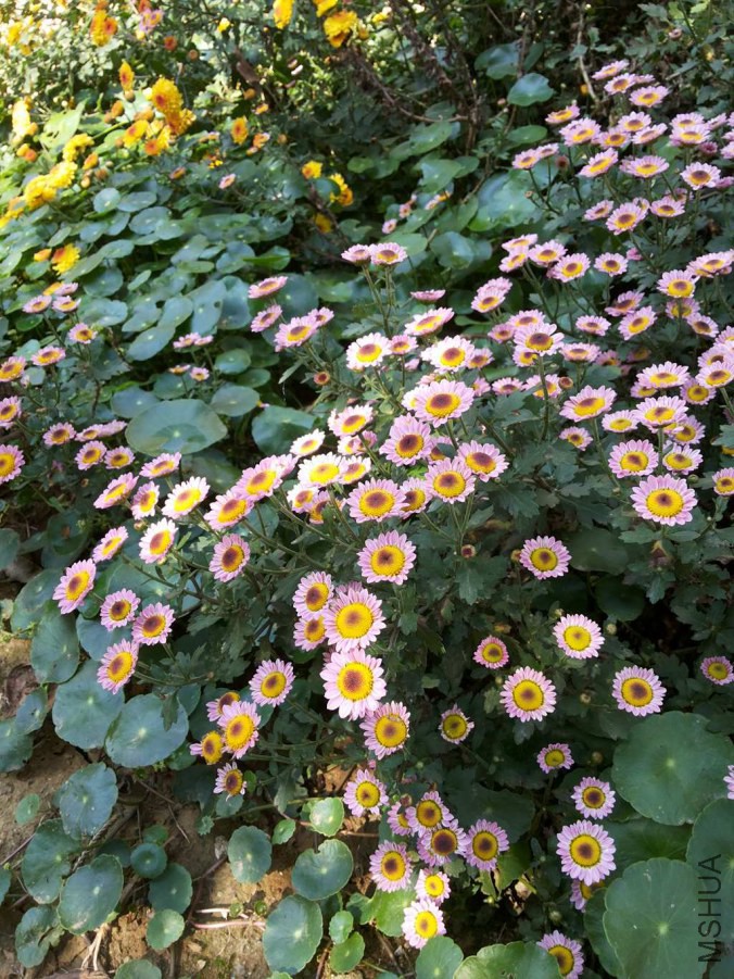 20141026_110802.jpg