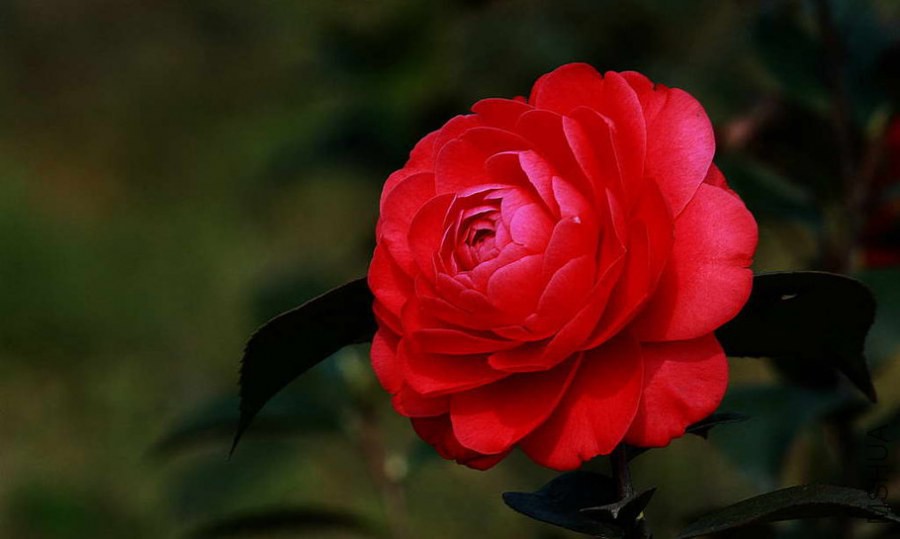 20141026_140311_096.jpg