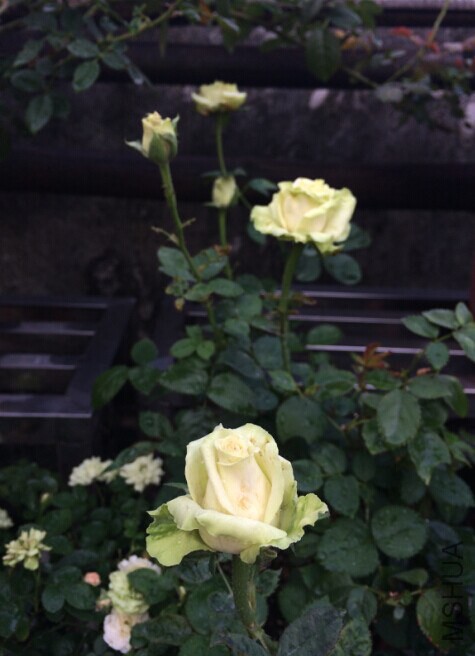 QQͼƬ20141026151730.jpg