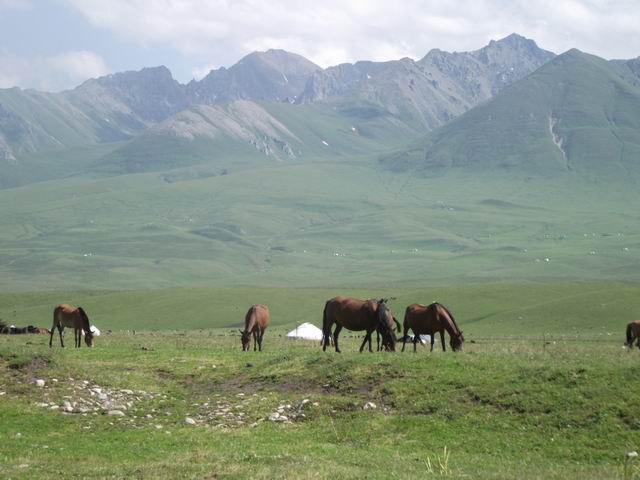 DSCF4142.JPG