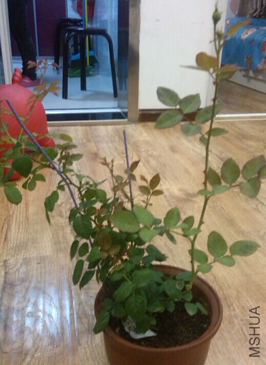 QQͼƬ20141026154509.jpg