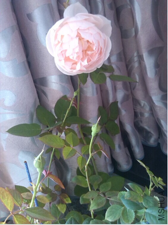 QQͼƬ20141026154340.jpg