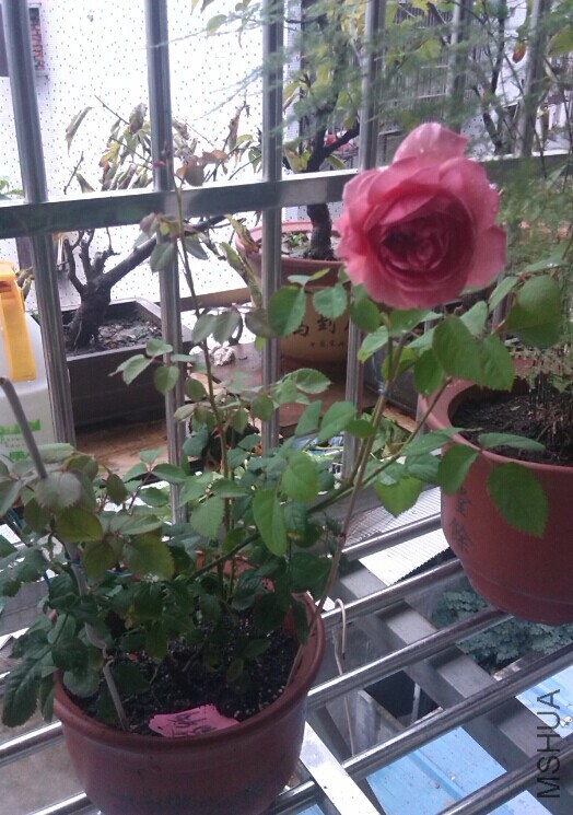 QQͼƬ20141026154401.jpg