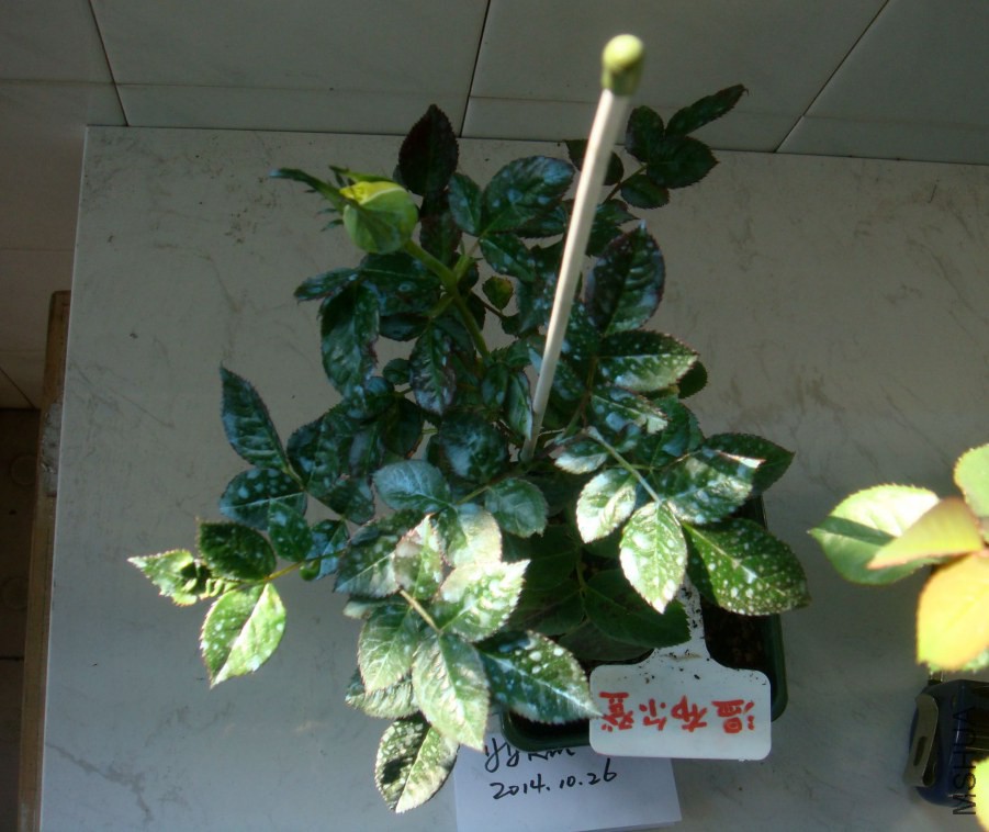05.JPG